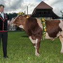 emmentalisches schwingfest schüpbach 11. mai 2014
