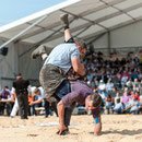 bernisch kantonales schwingfest, st. imier 10. august 2014