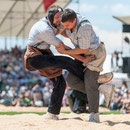 innerschweizerisches schwingfest, cham 6. juli 2014