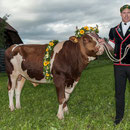 emmentalisches schwingfest schüpbach 11. mai 2014