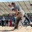 innerschweizerisches schwingfest, cham 6. juli 2014
