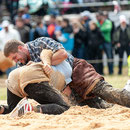 oberaargauisches schwingfest seeberg-grasswil, 23. mai 2015