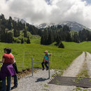 saison eröffnung schwingerweg springenboden 31. mai 2014