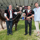 luzerner kantonales schwingfest, 7. Juni 2015 inwil