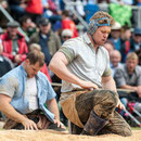 oberaargauisches schwingfest seeberg-grasswil, 23. mai 2015
