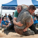 nordwestschweizerisches schwingfest 3. august 2014