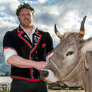 oberländisches schwingfest, sigriswil 29. Juni 2014