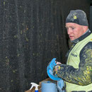 bernisch kantonaler schwingerverband, kickoff, 30. Januar 2015