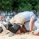 luzerner kantonales schwingfest, 7. Juni 2015 inwil