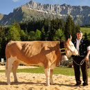 Emmentalisches Schwingfest Bumbach 29.05.2011