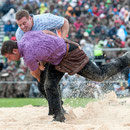 oberländisches schwingfest, sigriswil 29. Juni 2014