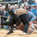 oberaargauisches schwingfest seeberg-grasswil, 23. mai 2015