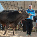 kilchberg-schwinget 2014