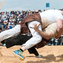 oberaargauisches schwingfest seeberg-grasswil, 23. mai 2015