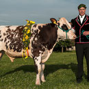 oberaargauisches schwingfest 7. Juni 2014 messen