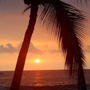 Ankunft in Maui