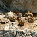Barite (Kristalle bis 5 cm), Palos Verdes, Los Angeles, CA