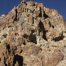 Der völlig durchlöcherte Gipfelbereich der Champions Mine, White Mts. CA
