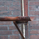 Rost
