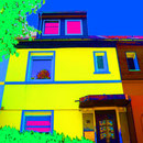 Haus-Art