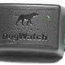 Dog Watch:R8-R1200