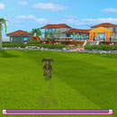 Hunde & Katzen 3D – Tierisch verspielt!