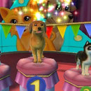 Hunde & Katzen 3D – Tierisch verspielt!