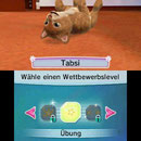 Hunde & Katzen 3D – Tierisch verspielt!