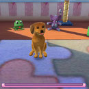 Hunde & Katzen 3D – Tierisch verspielt!
