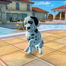 Hunde & Katzen 3D – Tierisch verspielt!