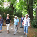 Am Dammelsberg