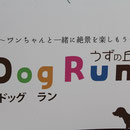 ドッグラン