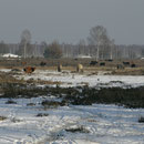 Winteransicht