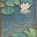 睡蓮 Nénuphar  33×24cm カンバスに油彩 l'huile sur toile  2007