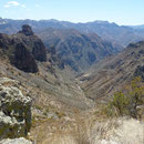 Canyon Barranca Del Cobre, au nord du Mexique