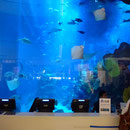 Aquarium géant de Dubaï