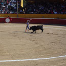 Scène de corrida
