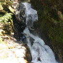 Fjordland