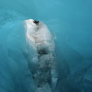 Franz Josef Gletscher