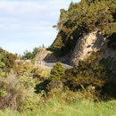 Old Russel Road