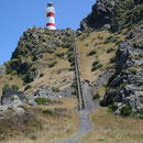 Cape Palliser