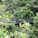 Wainui Falls