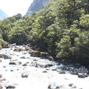 Fjordland