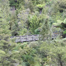 Hunua Ranges