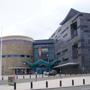 Te Papa Museum
