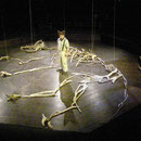 流木による舞台美術:『イヌイヌ』（西田シャトナー演劇研究所・2008年）