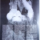 Halima 2005