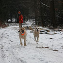 Beele und Lara