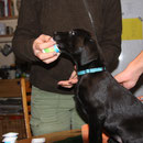 Frieda