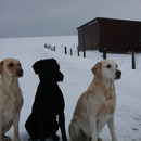 Beele, Audrey und Lara